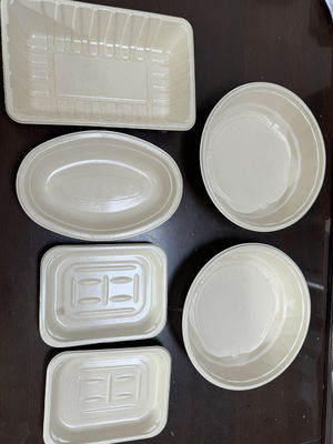 Lini Produksi Terpadu Pelapisan dan Pengeringan dengan Putaran (Spin Coating) untuk Peralatan Makan Bagasse 12-Stasiun