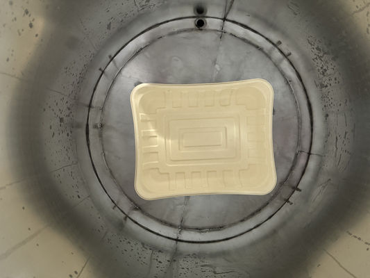 24-Stasiun Spin Coating Line untuk Pulp Molded Waterproofing dengan Sistem Pengeringan Efisiensi Tinggi untuk Bagasse dan Perlengkapan Meja Bambu