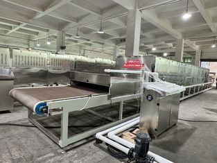 Sistem Sterilisasi dan Pengeringan Microwave Berkualitas Pangan, Menjaga Nutrisi & Meningkatkan Masa Pelapisan