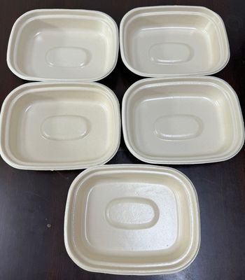 Halaman Produk: Benchtop Lab Spin Coating Machine for Pulp Molded Food Packaging R&D