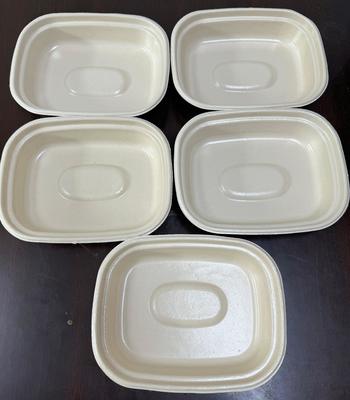 Prototipe Pelapis Putar Ganda Netral Karbon untuk Peralatan Makan Berbasis Tumbuhan - Solusi Netral Karbon untuk Piring, Mangkuk & Baki Daging