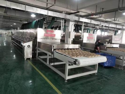 Sistem pengering vakum gelombang mikro berkapasitas tinggi - disesuaikan 1-10T / jam