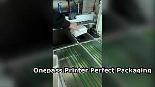 Solusi Pengemasan Cetakan Pulp Printer Onepass